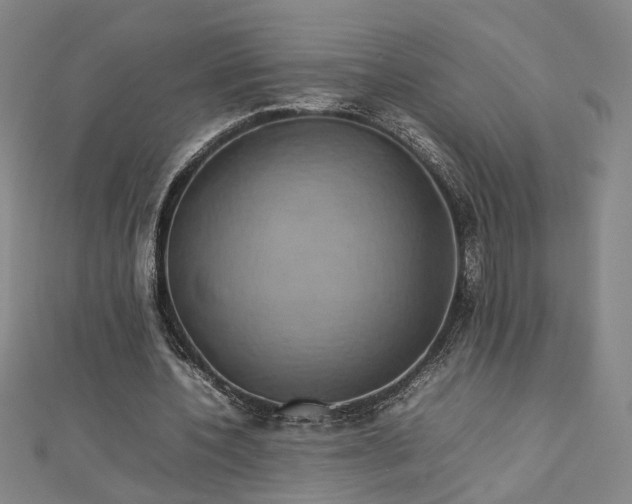 X0000112770532200909031613