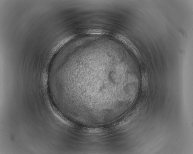 X0000112770533200909031613