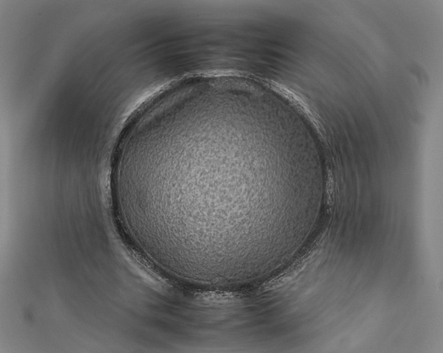 X0000112770535200909031613