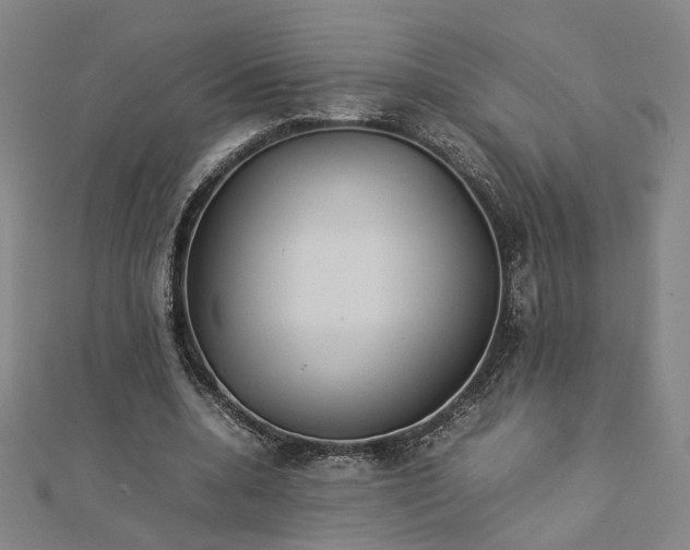 X0000112770536200909031613