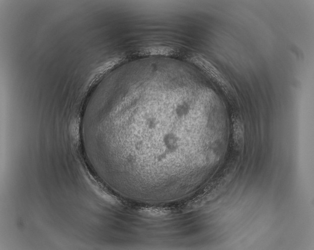 X0000112770537200909031613