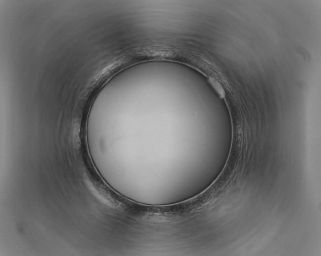 X0000112770538200909031613