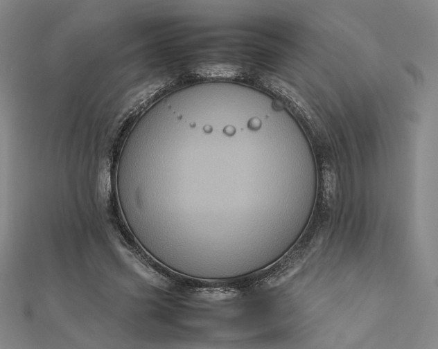 X0000112770541200909031613