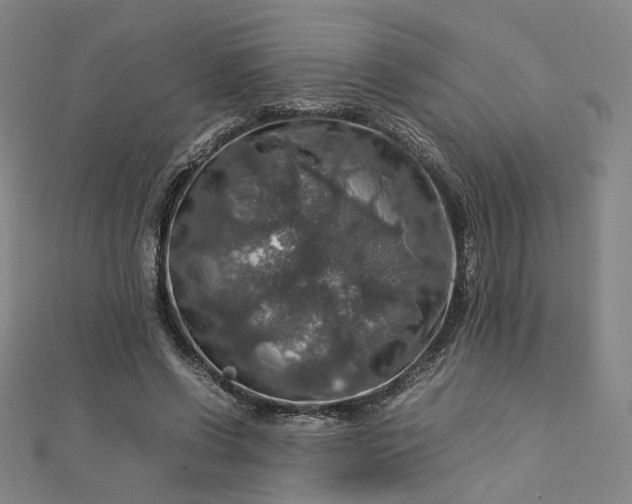 X0000112770542200909031613