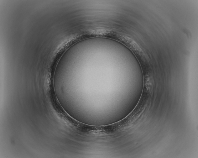 X0000112770544200909031613