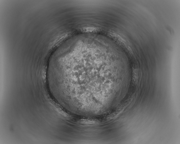 X0000112770545200909031613