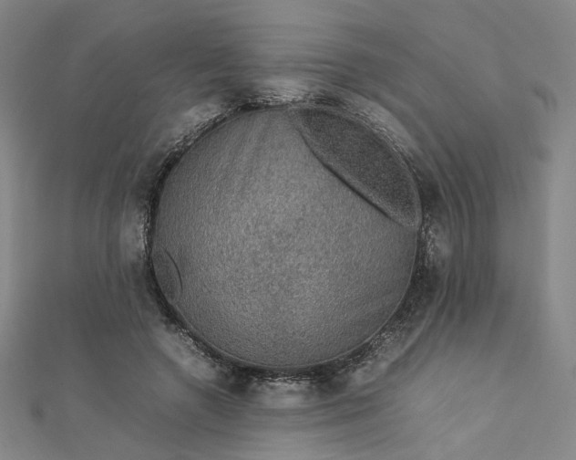 X0000112770546200909031613