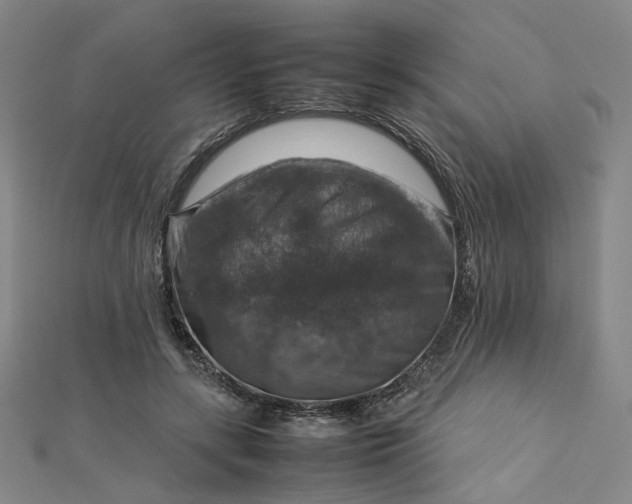 X0000112770547200909031613