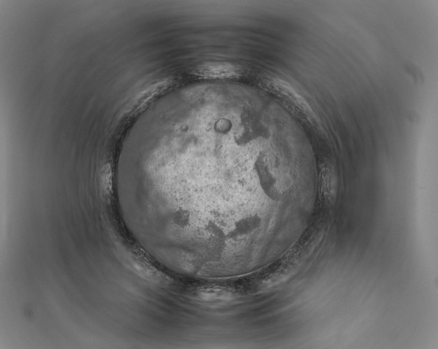 X0000112770549200909031613