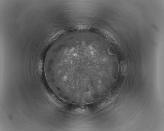 X0000112770550200909031613