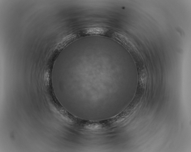 X0000112770551200909031613