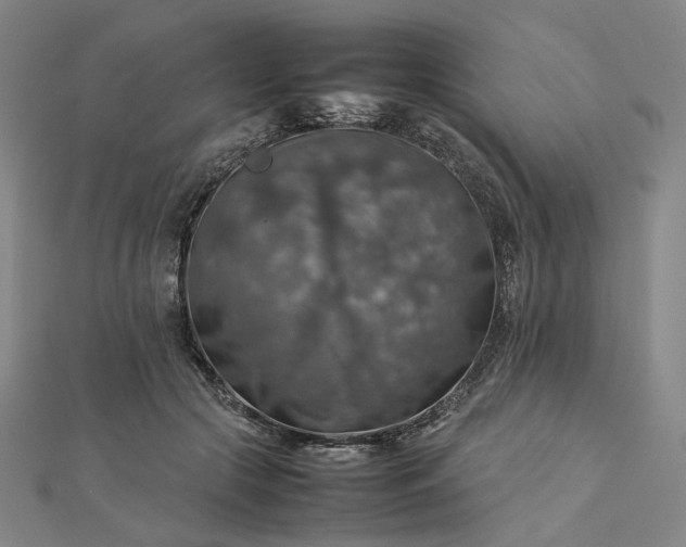 X0000112770553200909031613