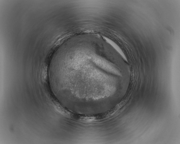 X0000112770554200909031613