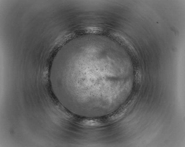 X0000112770557200909031613