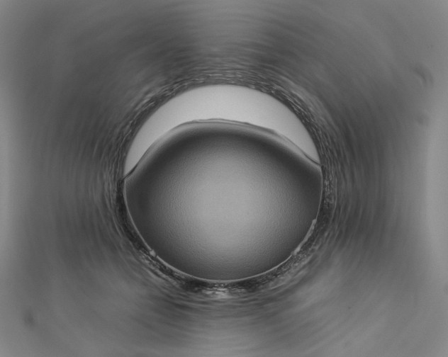 X0000112770558200909031613