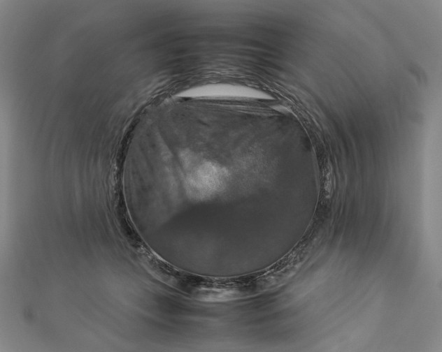 X0000112770559200909031613