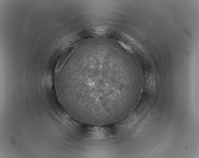 X0000112770562200909031613