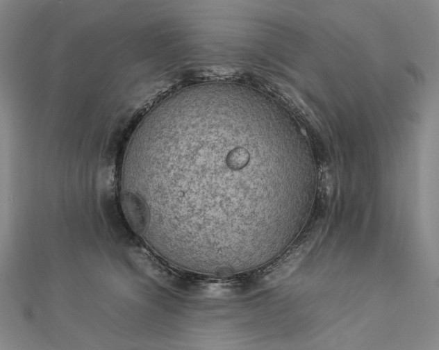 X0000112770564200909031613