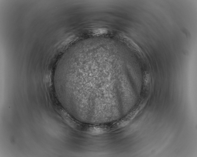 X0000112770565200909031613