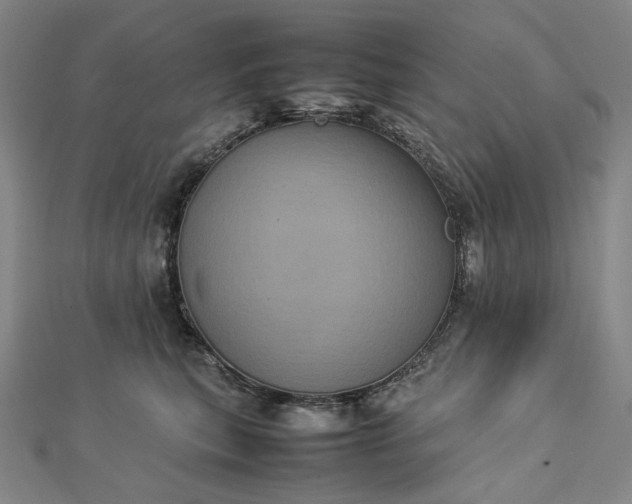 X0000112770567200909031613