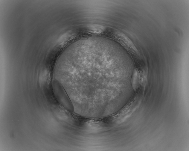 X0000112770568200909031613