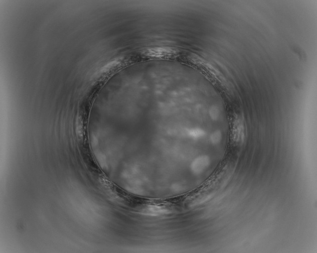 X0000112770569200909031613