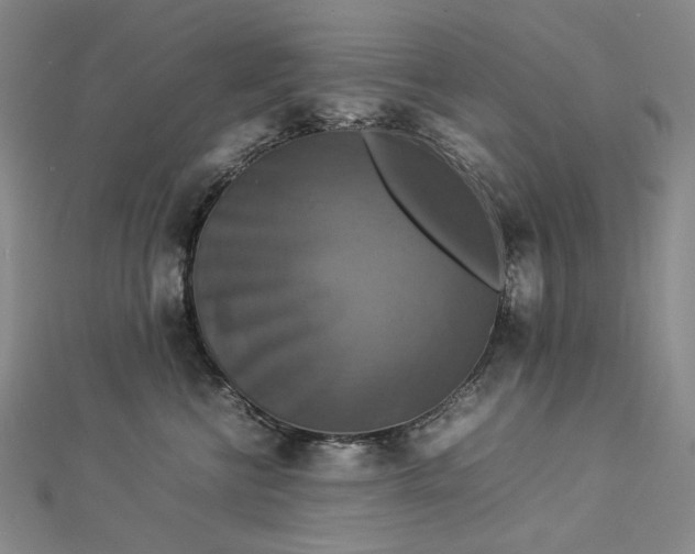 X0000112770570200909031613