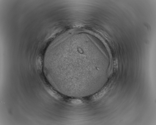 X0000112770572200909031613