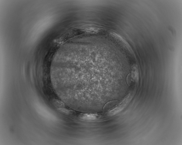 X0000112770573200909031613