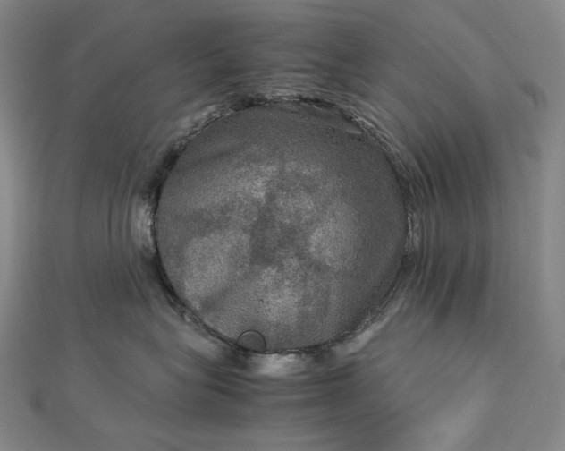 X0000112770575200909031613