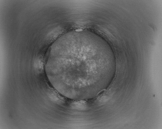 X0000112770576200909031613