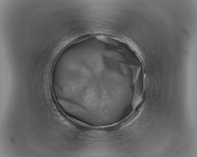 X0000112770577200909031613