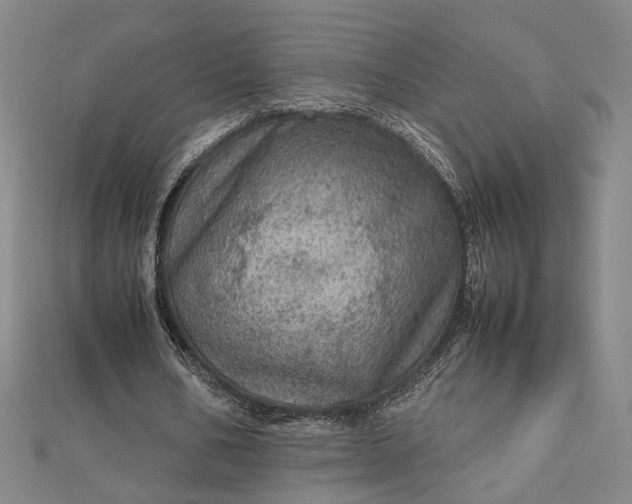 X0000112770578200909031613