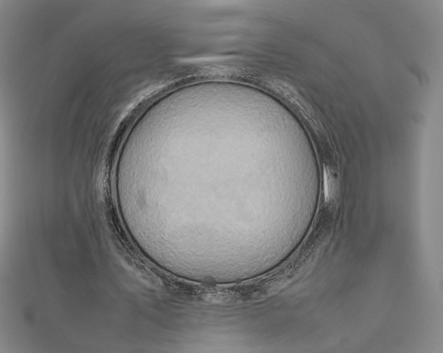 X0000112770579200909031613