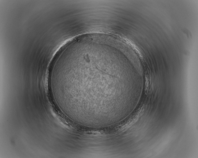 X0000112770580200909031613