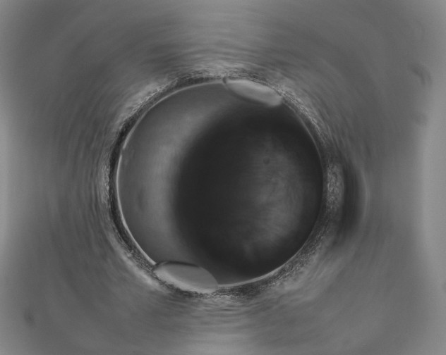 X0000112770581200909031613