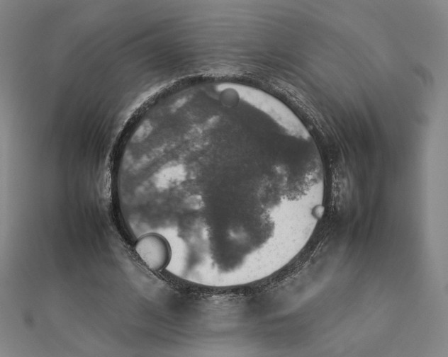 X0000112770584200909031612