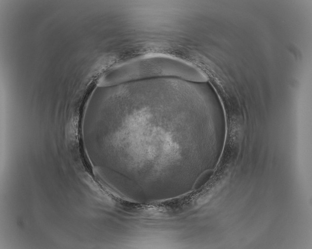 X0000112770585200909031612