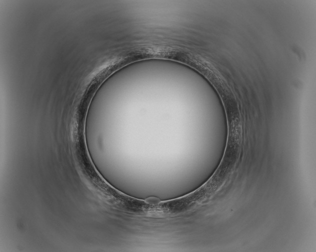 X0000112770587200909031612