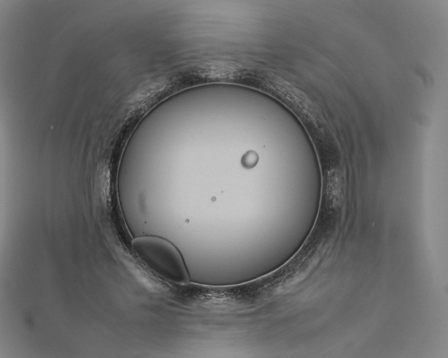 X0000112770589200909031612