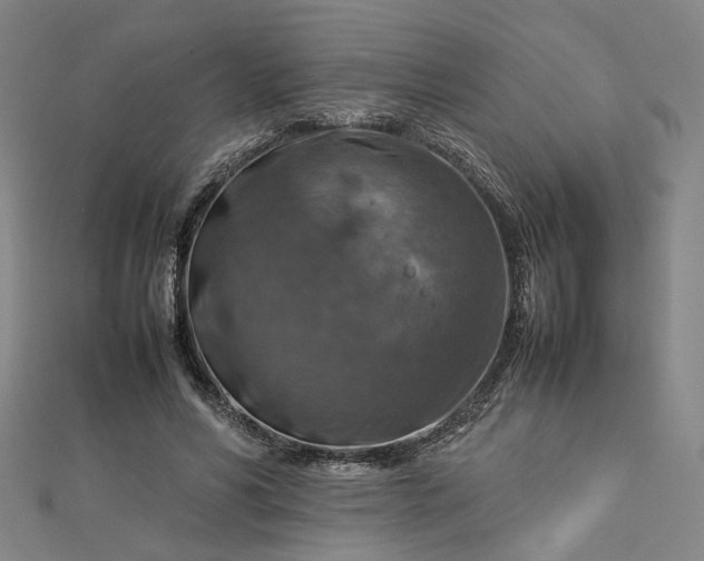 X0000112770590200909031612