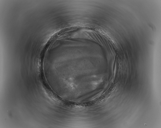 X0000112770592200909031612