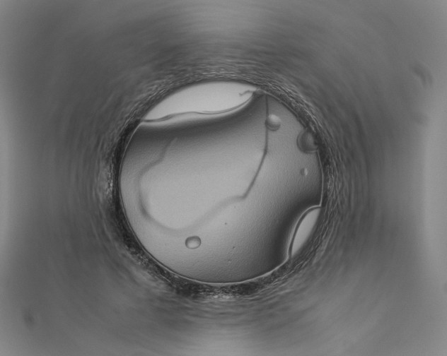 X0000112770593200909031612