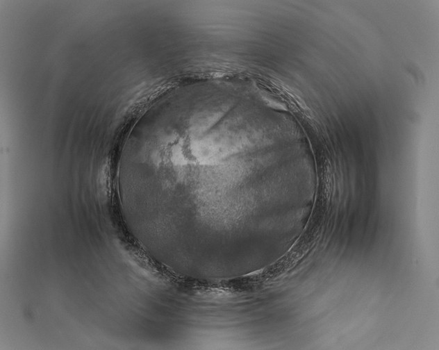 X0000112770594200909031612