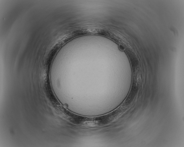 X0000112770595200909031612