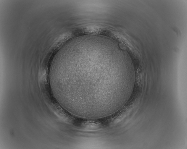 X0000112770597200909031612