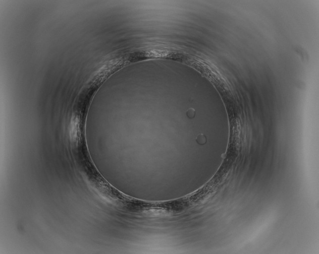 X0000112770598200909031612