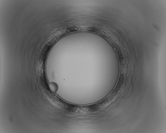 X0000112770599200909031612