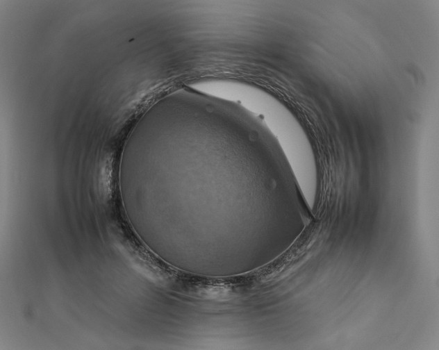 X0000112770600200909031612