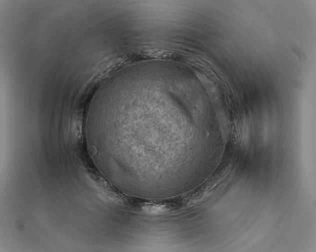 X0000112770602200909031612